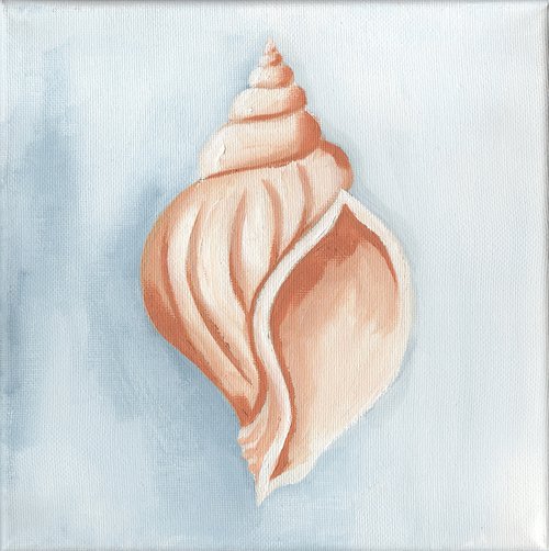 Seashell by Nagore Rodriguez