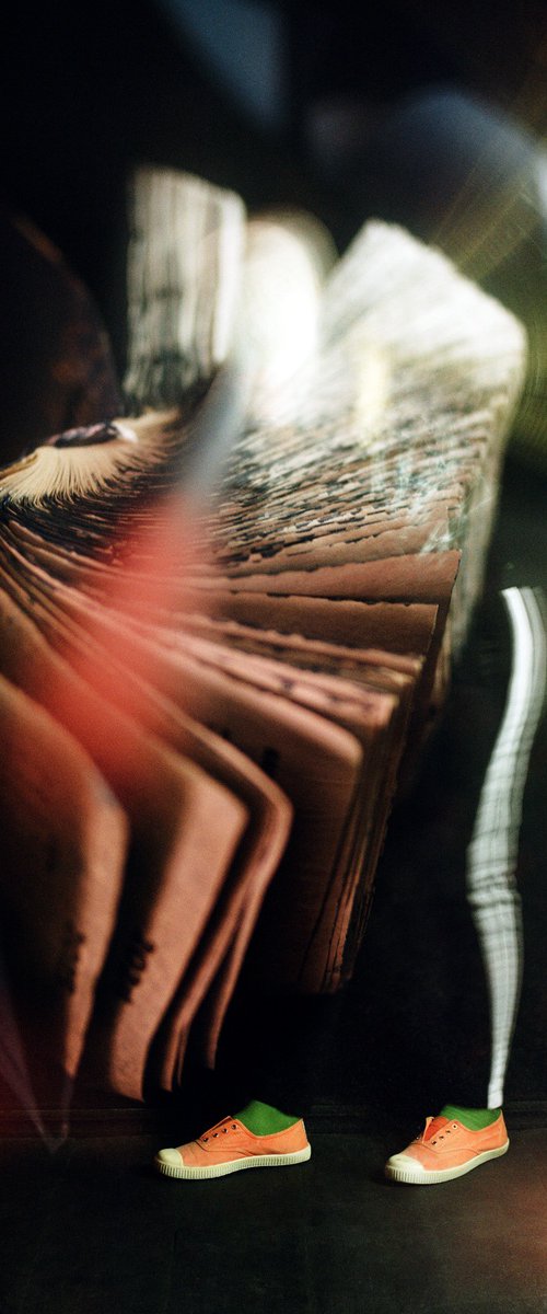 The past year by Tania Serket