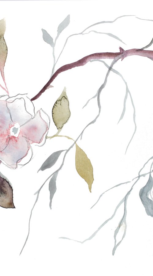 Wild Rose No. 19 by Elizabeth Becker