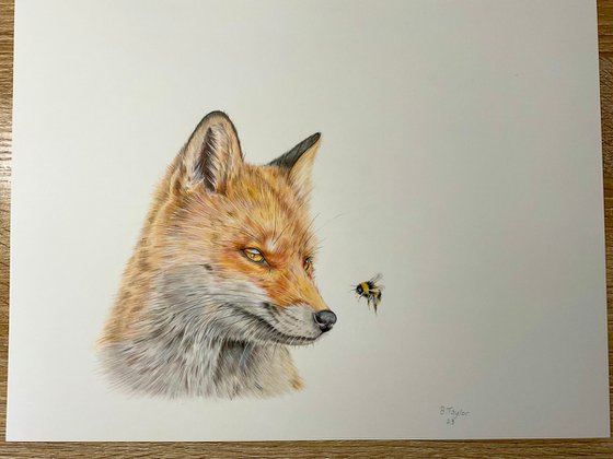 The fox and the bee