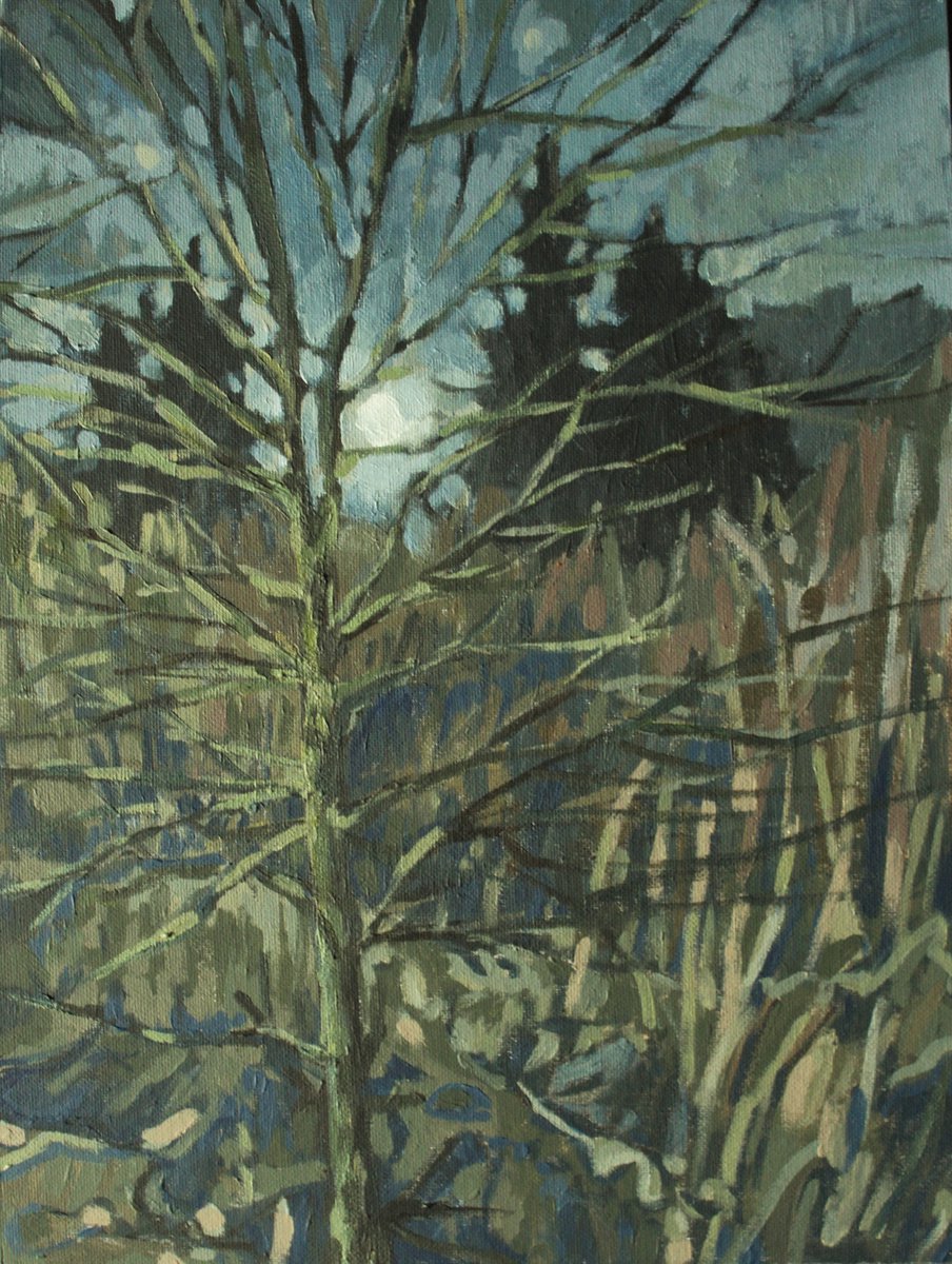 Impressionistic Landscape Acrylic Painting By Joanna Plenzler, 12 X 16, A Full Moon, Original Artwork