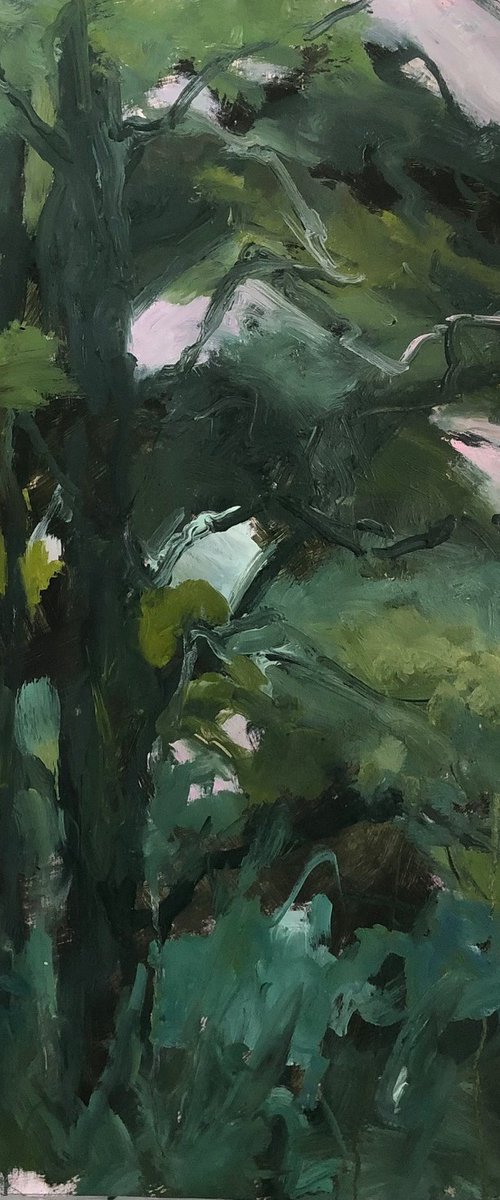 Aged Oak by Joanna Farrow