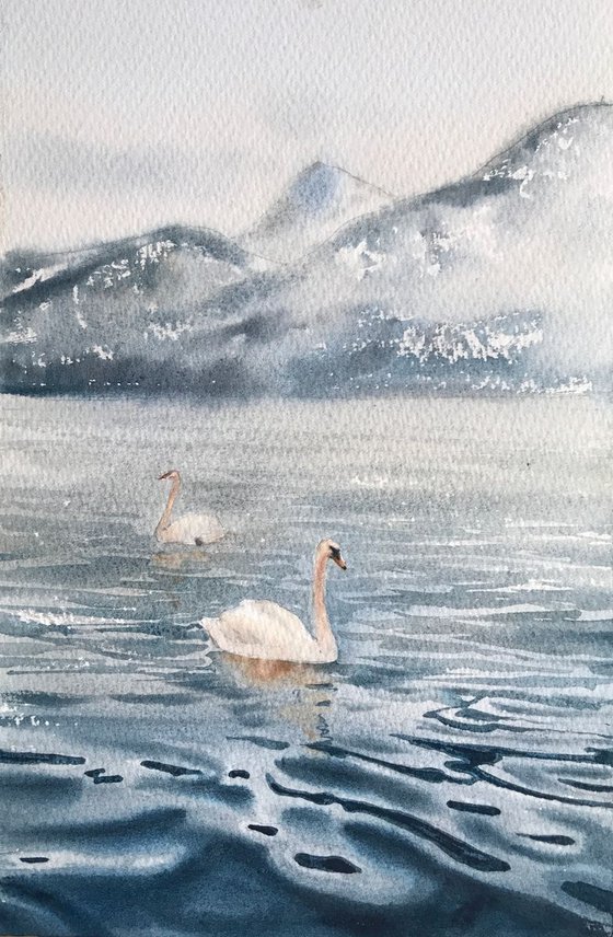 Swans on the lake