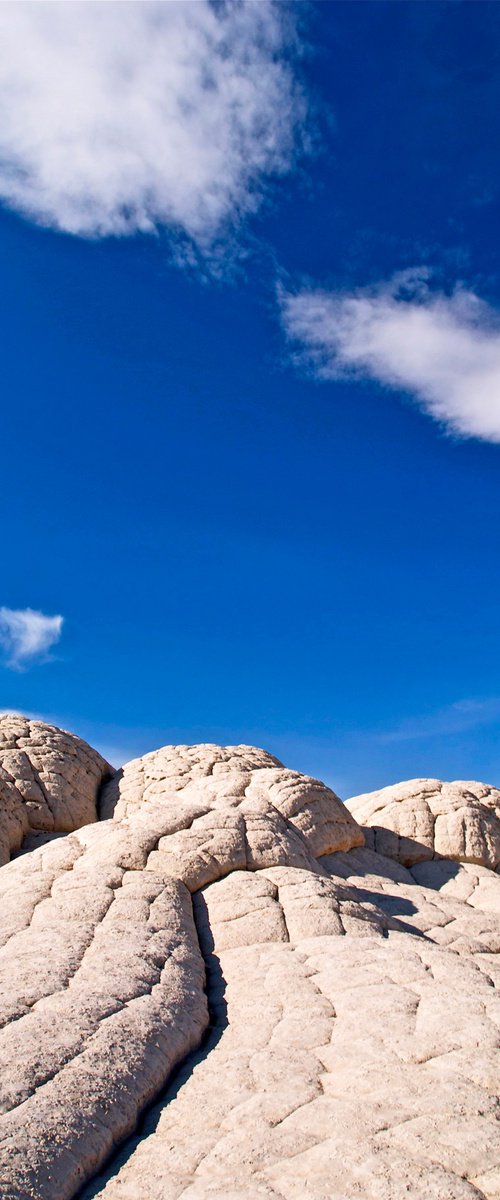 Brain Rocks of White Pocket by Alex Cassels