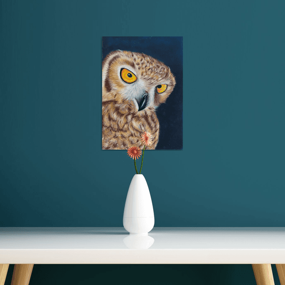 Owl