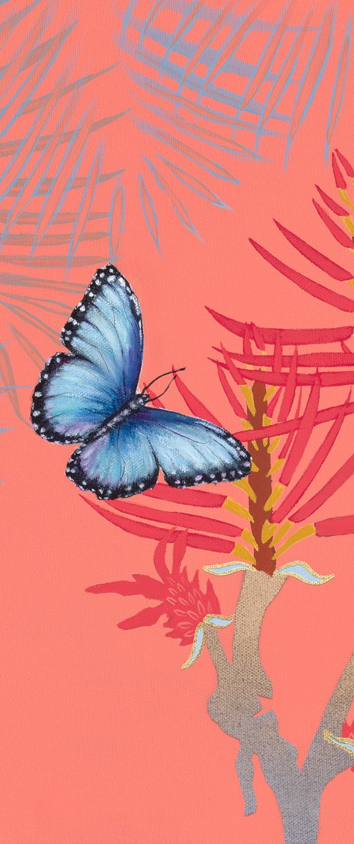 Butterflies On Terracotta by Deborah Jones
