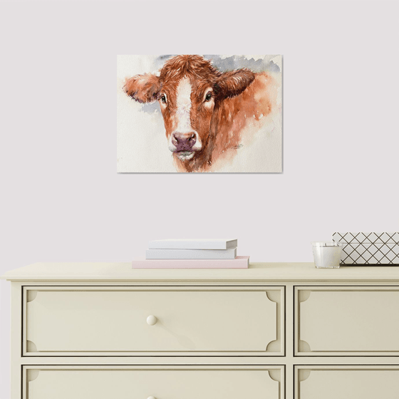 Brown Cow_ Midsummer Gaze