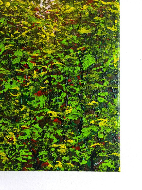 Nice Forest 1