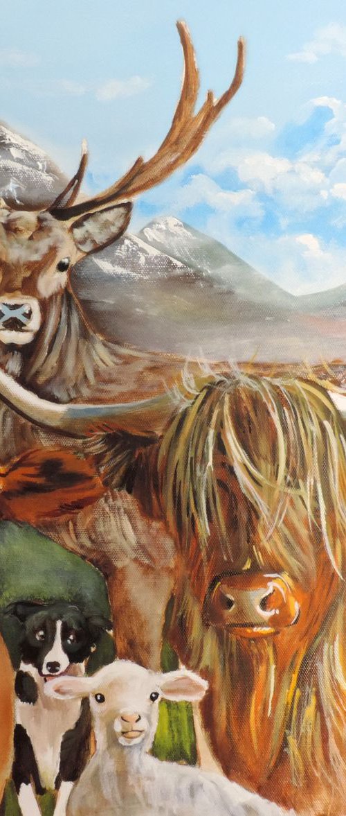 Scottish cows by Gordon Bruce