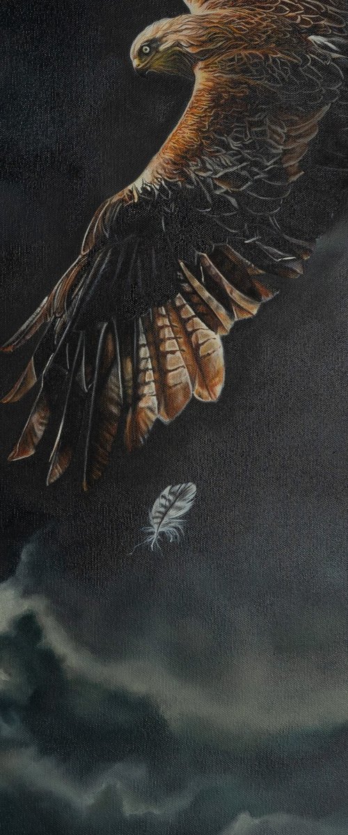 Stormbound by Natalie Toplass