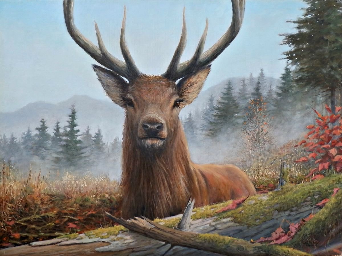 Deer by Gerard Kramer