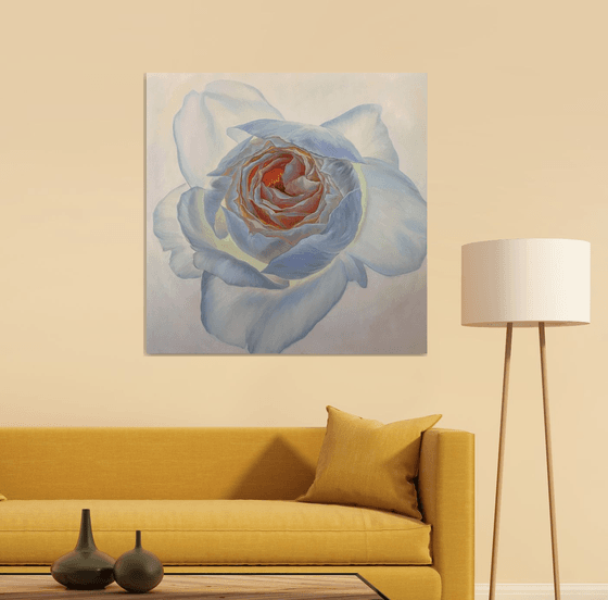 Portrait of rose