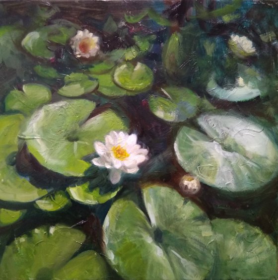 Morning Water Lily- Impasto Painting