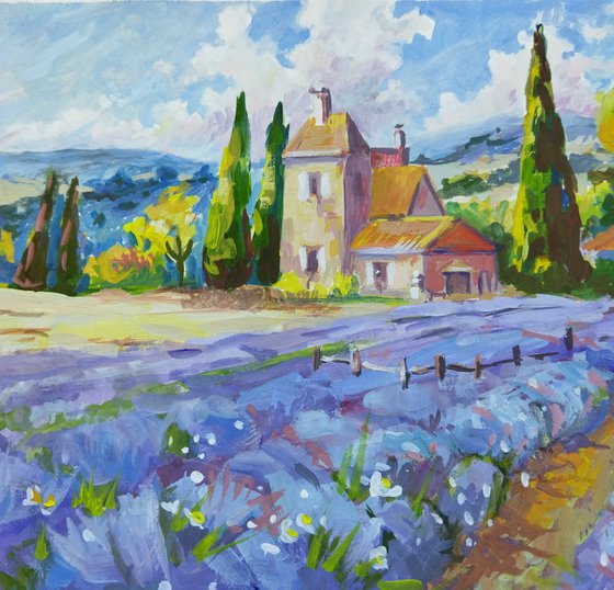Provence. Lavender field