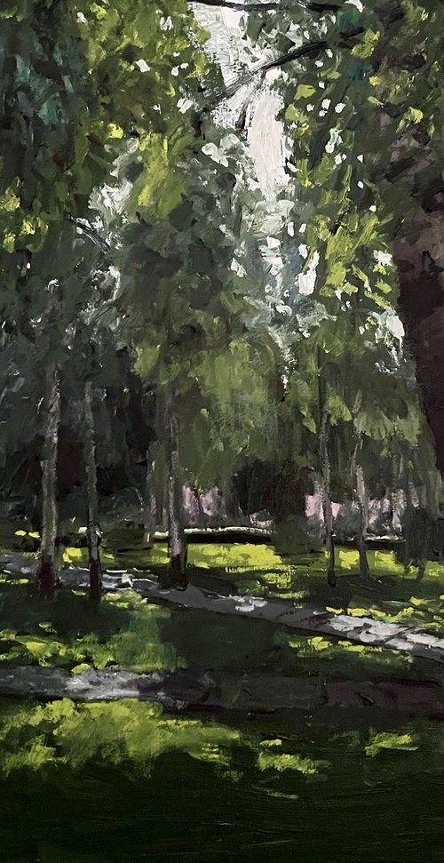 The Birch Park by Michael Rak