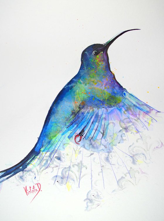 Hummingbird 11