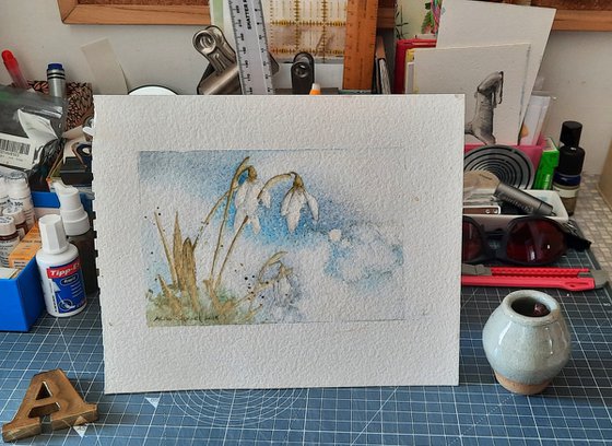 Sapphire Snowdrops