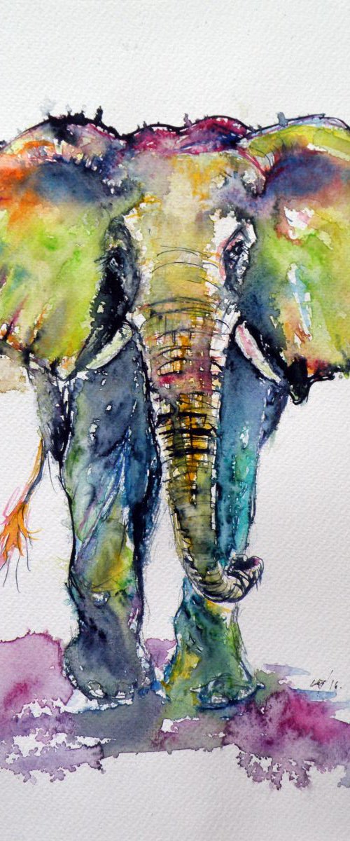 Colorful elephant by Kovács Anna Brigitta