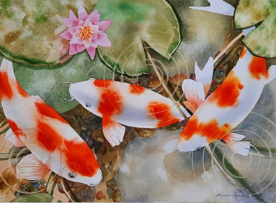 Calming Carp
