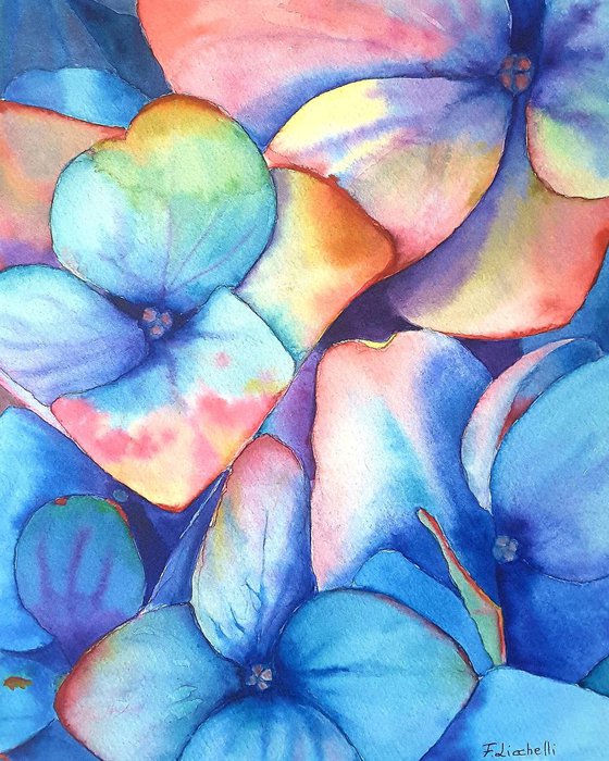 Hydrangea n.2