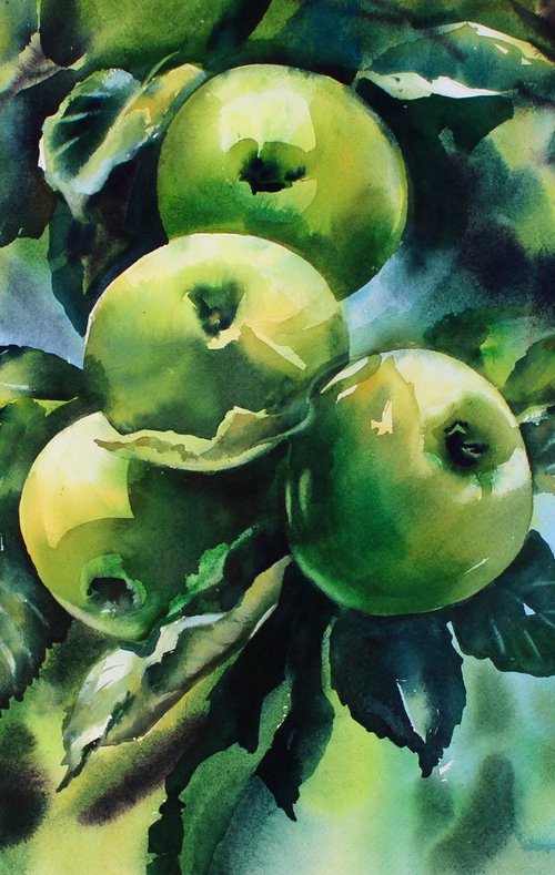 Apples in the sun by Nadiia Dubei