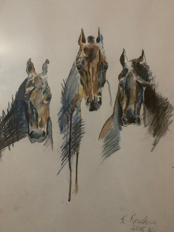 Horses ( large size ) watercolour