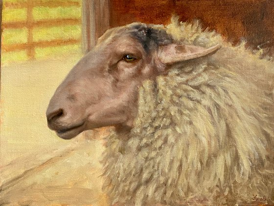 "The Old Sheep" Original Realist Painting by Yana Golikova