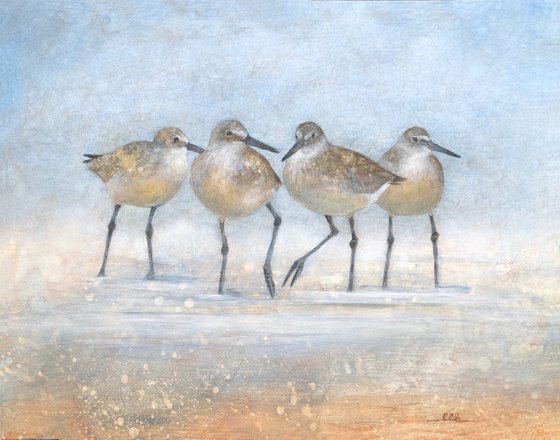 Wading Shorebirds