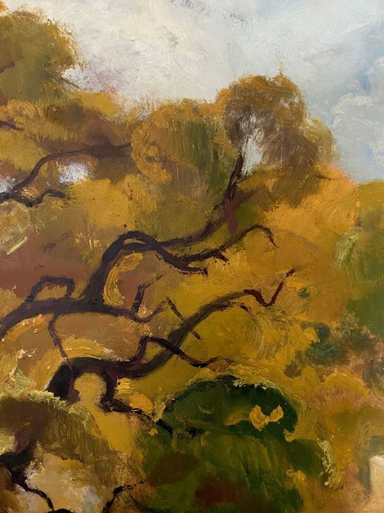 Oak, autumn