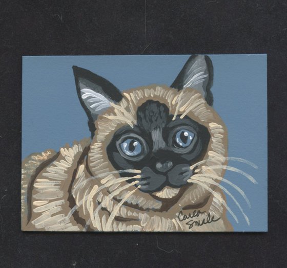 Siamese Cat