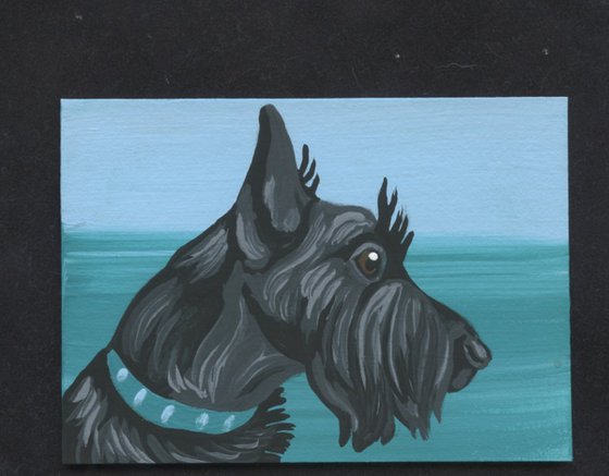 ACEO ATC Original Miniature Painting Scotty Pet Dog Art-Carla Smale