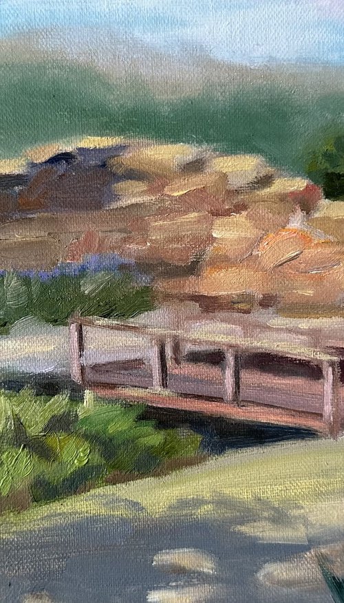 Quail Hill Park by Grace Diehl
