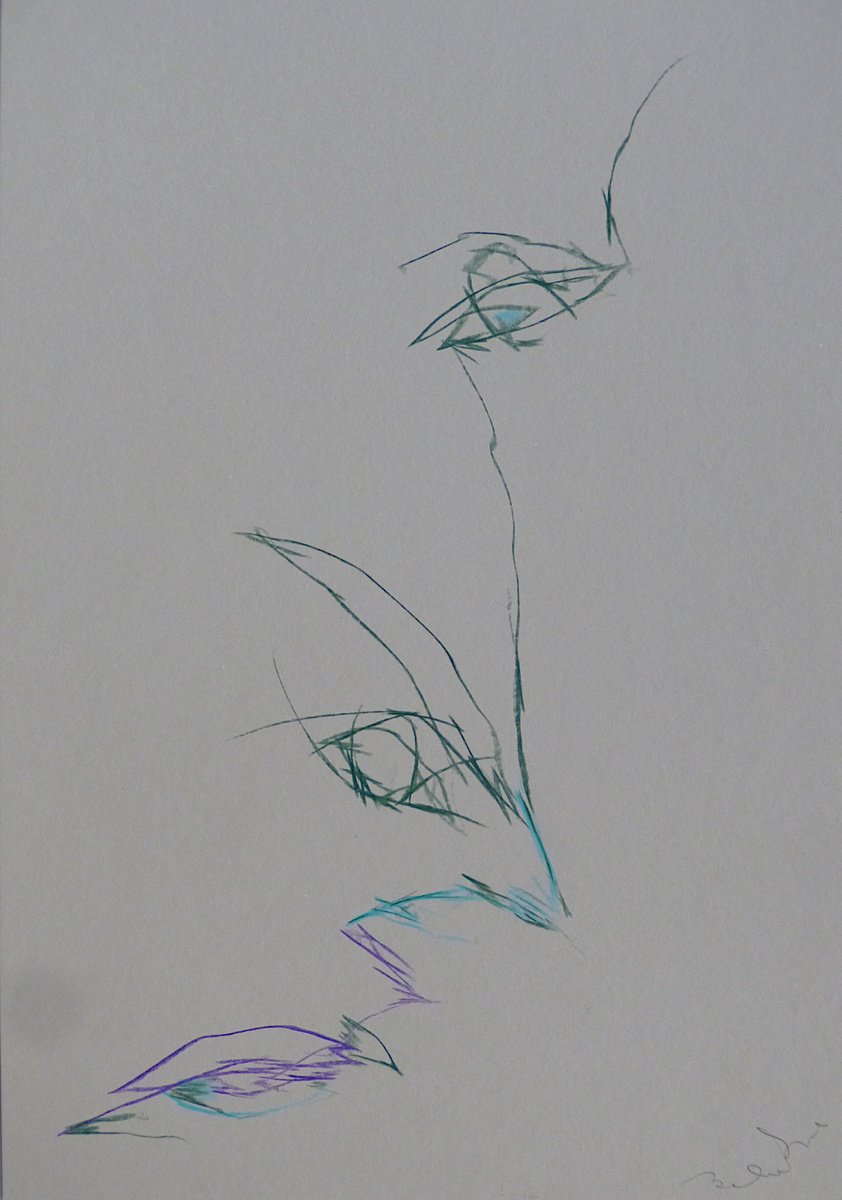 Expressive Portrait Pencil Drawing By Frederic Belaubre, 8 X 11, The Electric Face 5, Original Artwork