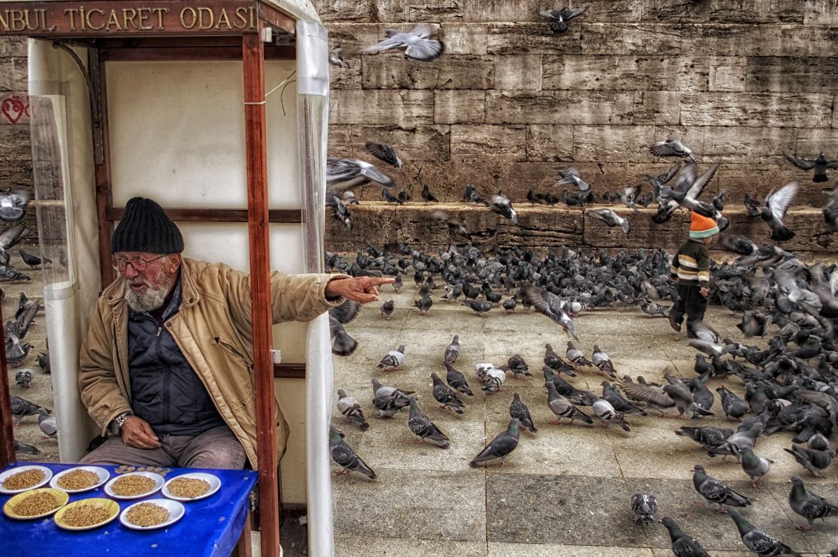 Photorealistic Photograph , At Play With The Pigeons By Marc Ehrenbold, 40 X 30, Artwork For Sale On Artfinder