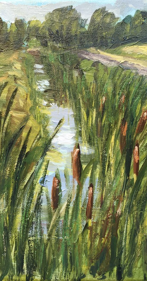 Reeds channel by Elena Sokolova