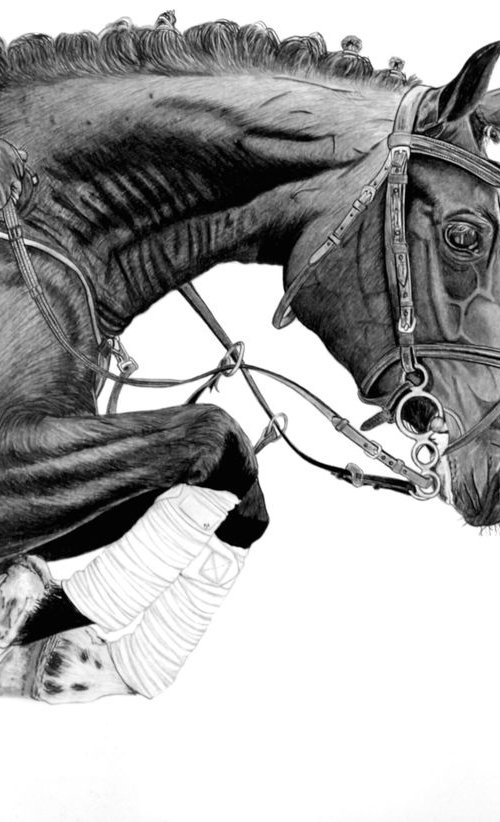 Show Jumper by Paul Stowe