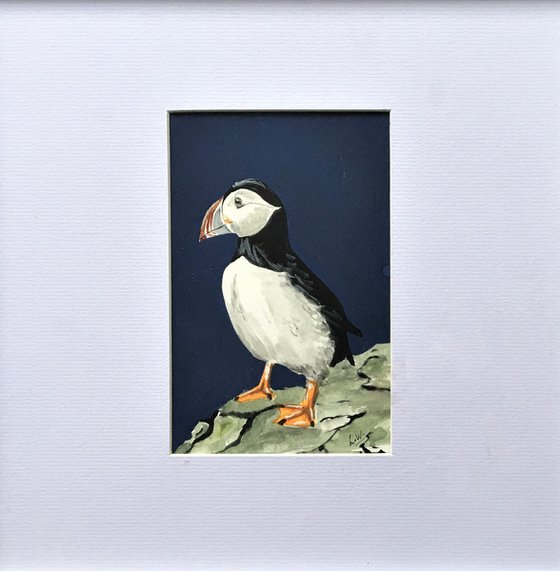 Clifftop Puffin