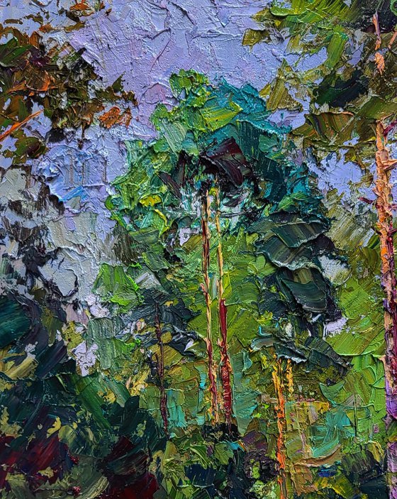 Along the Forest Path