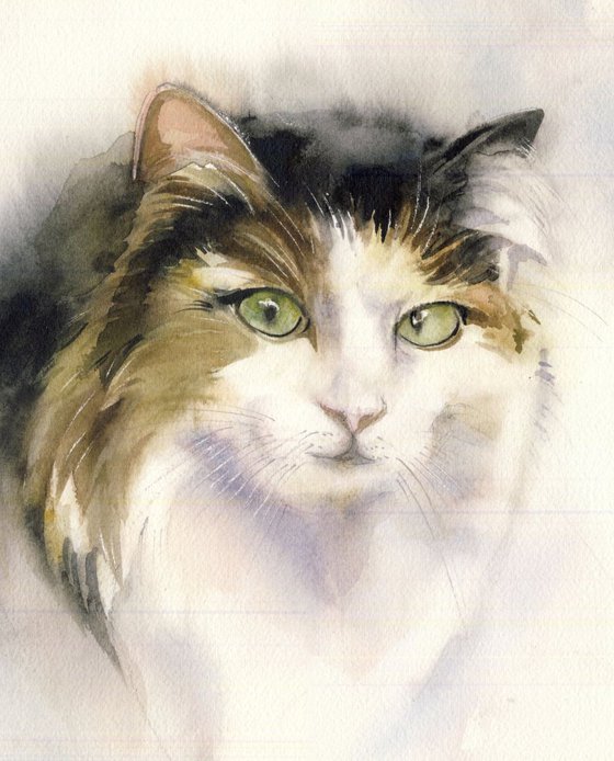 a painting a day #43 "cat watercolor'