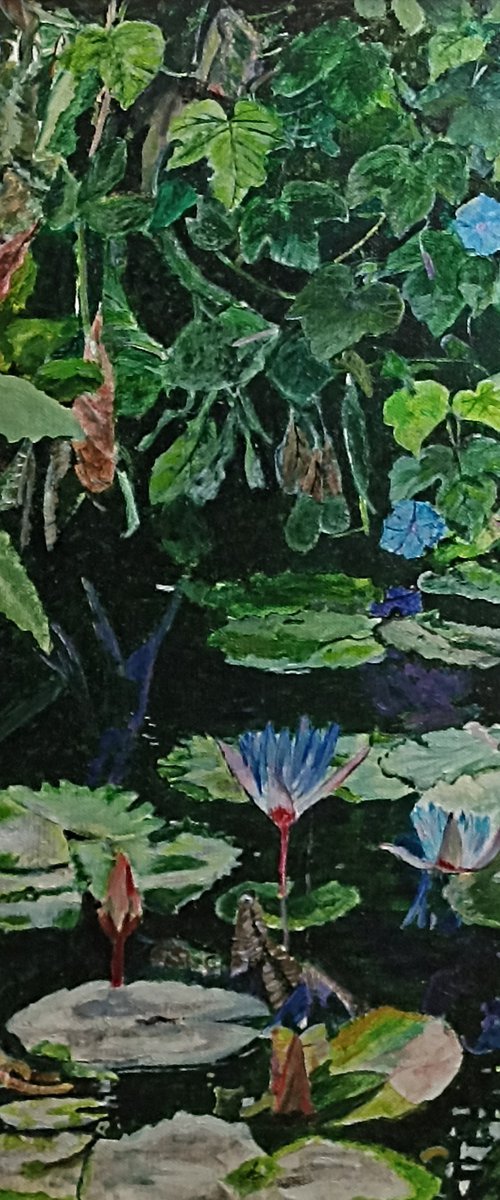 Blue waterlily flower by Isabelle Lucas