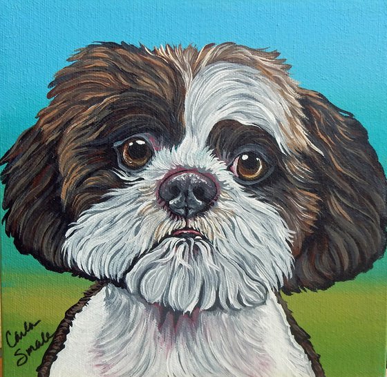 Shih Tzu Pet Dog Original Art Painting-8 x 8 Inches Stretched Canvas-Carla Smale