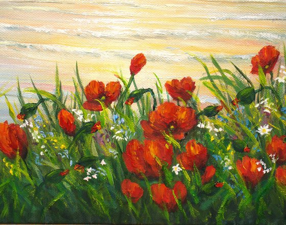 Poppies by the sae