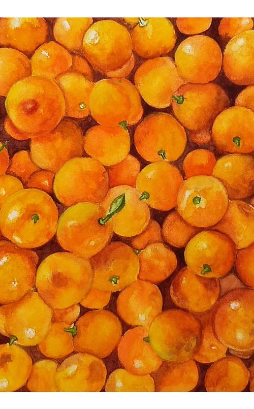 Mandarin Oranges by Shweta  Mahajan