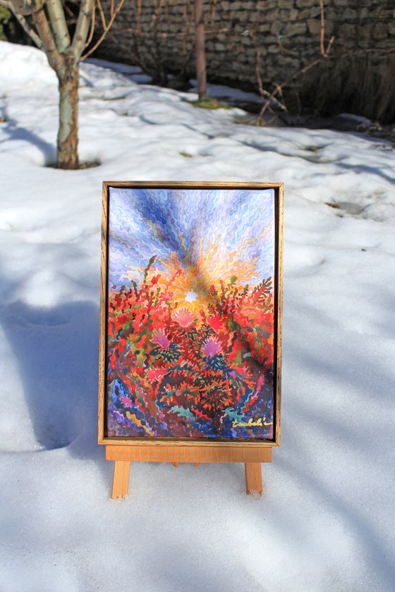 Pink Thistle Blossom