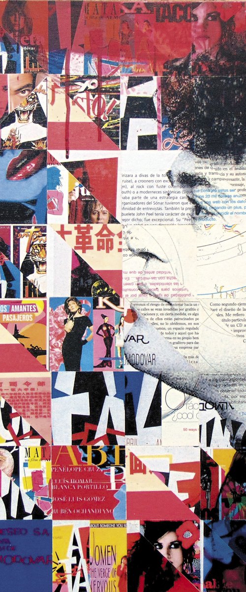 Collage_09_40x40_Almodovar by Manel Villalonga