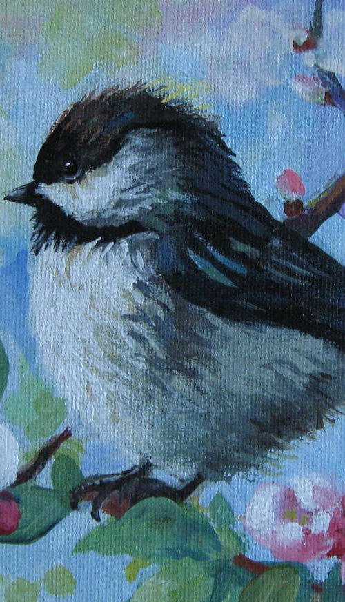 Chickadee by Elena Oleniuc