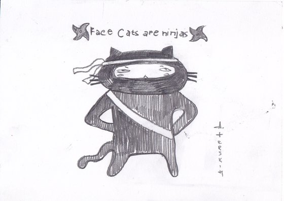 Ninja Cat
