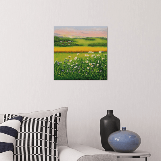 Daisy meadow landscape