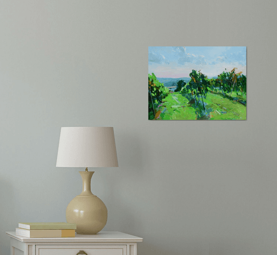 "  Vineyards "