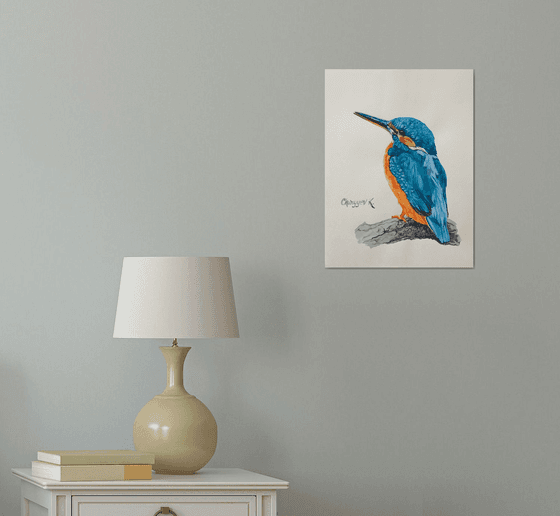 Kingfisher from the collection "Watercolor birds"